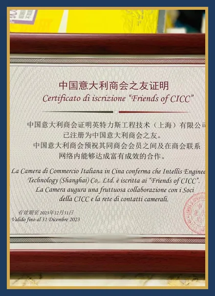 China-Italy Chamber of Commerce Friend